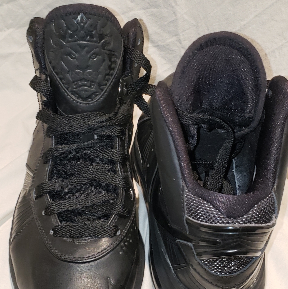 Nike LeBron James 8